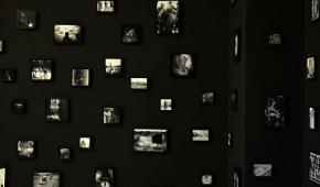 fot. materiały prasowe