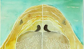 Aleksandra Jabłońska "Patrząc na świat"