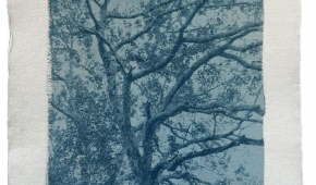 Berta Ibáñez "Arbol"