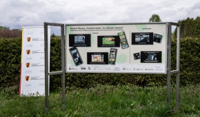 Fot. Mikołaj Zacharow