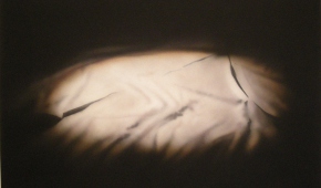 Obraz Wojciecha Ledera