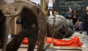  fot. Przemysław Majewski