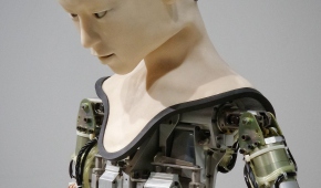 Fot. Franck V. / Unsplash