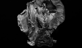 Garrett Hansen / HAIL / Grand Prix Fotofestiwal 2018