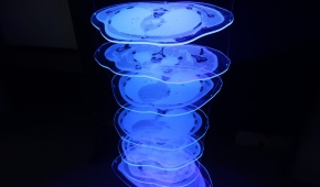 Obiekt Witolda Gretzyngiera