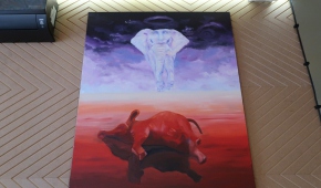 Anna Pacholik, Tel Aviv, fot. ATN