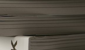 Fot. Bogdan Sobieszek