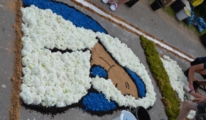 Spycimierskie kwietne dywany, fot. materiały prasowe Urząd Miasta Uniejów