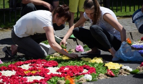 Spycimierskie kwietne dywany, fot. materiały prasowe Urząd Miasta Uniejów