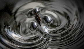 Małgorzata Szafrańska "Zmarszczki"