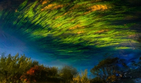 Małgorzata Szafrańska "Fantazja", Grand Prix