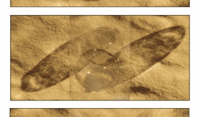 Tryptyk „Cienie”