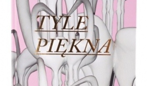 Okładka książki "Tyle piękna". O łódzkiej rzeźbie i przestrzeni miejskiej" Marii Nowakowskiej