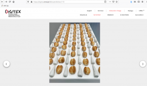 Print screen z wystawy online