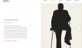 Print screen z wystawy online